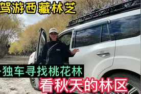 妹子自驾游西藏林芝，独车寻找桃花林误入柳树林被这里的景像镇住视频封面