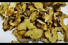 黄精的功效和服用禁忌