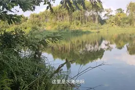 南宁近郊绝佳钓点，几斤的大草鱼鲤鱼大罗非，好资源别错过！视频封面