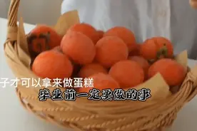 毕业前一定要做的事……@暂退丶小熊 视频素材@肥猪猪日常