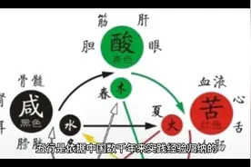 五脏六腑与五行阴阳关系视频封面