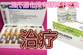治疗鸡不消化，精神萎靡，不吃食特效药，简少养鸡风险
