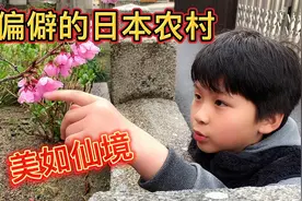 日本农村也有居委会，樱花盛开美如仙境，这样的农村可比城市治愈视频封面