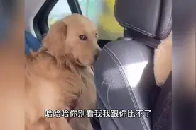 我说狗狗坐车那么老实原来是晕车了哈哈视频封面