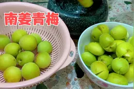潮汕婆婆腌制南姜青梅，酸甜脆爽又开胃，立刻就能吃，一看就会做视频封面
