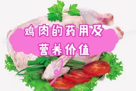 鸡肉的药用及营养价值
