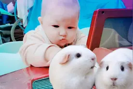 原来洗澡桶还有这个功能，现在把你放哪都不行了，都能翻墙出来视频封面