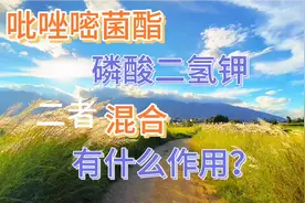 吡唑嘧菌酯和磷酸二氢钾，二者混合，有什么作用？视频封面