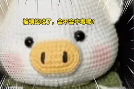 不小心被蜈蚣咬了，会中毒吗？视频封面