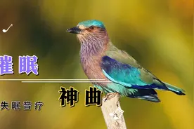 『十大助眠神曲』适合睡前听的纯音乐，放松心情，快速入睡