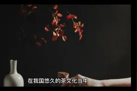 喝茶暗语视频封面