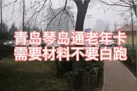 青岛琴岛通公交地铁老年卡，需要准备的材料，否则可能白跑！视频封面