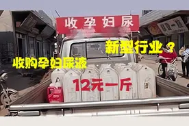 山东农村收购孕妇尿液，12元一斤，孕妇尿到底有何用？