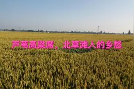 滑县王庄镇一村一故事视频封面