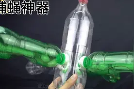 家里苍蝇多怎么办？教您一招，来一只灭一只，安全实用还省事视频封面