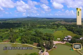 社会只记住你的名字，江湖却传说你的故事。视频封面