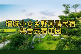 增城这家小众民宿拥有6万平田园秘境，充满乡村野趣，度假很舒服视频封面