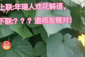 上联:年瑞人欢花解语，下联:？？？邀师友赐对！视频封面