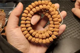 小金刚108什么样的好，我们该怎么去选择？