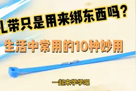 扎带你还用来绑东西吗？今天分享生活常用的10种妙用@西瓜视频视频封面