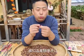 红松故乡的由来，涛哥讲解红松籽的开口方式和颗粒大小黑龙江伊春视频封面