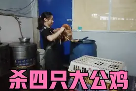 克燕杀4只大公鸡，一只6斤重，以她的经验一个人轻轻松松搞定。视频封面