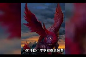 《山海经》神兽-貔貅视频封面