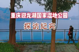 经过多年打造，重庆迎龙湖国家湿地公园要开放了，就在南岸区哟！视频封面