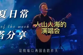 许巍演唱会人山人海视频封面