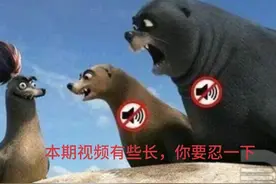 流感历史视频封面