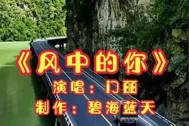 门丽不愧是情歌高手，一首《风中的你》难得能把这歌唱得如此华丽视频封面