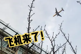 这就是机场要搬迁的原因视频封面