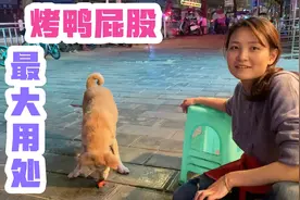 鸭屁股也有大用处！废物利用成狗狗大餐！看到狗狗长这么大真开心视频封面
