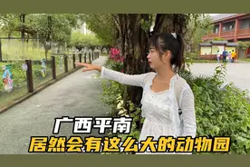 自驾到平南旅行，这里居然有广西最大的动物园，真是太厉害了视频封面