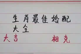 生肖最佳婚配大全视频封面
