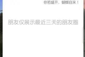 如何设置自己的微信朋友圈好友展示三天可见？一分钟教会你