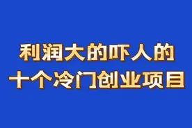 利润大的吓人的10个冷门创业项目，赶快看看吧视频封面