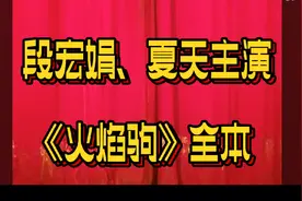【陇剧院】秦腔《火焰驹》全本，段宏娟、夏天主演视频封面