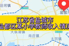 江苏省盐城市盐都区某小学教师收入情况视频封面
