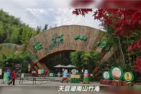 天目湖南山竹海视频封面