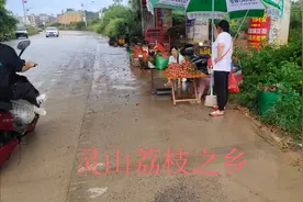 广西灵山荔枝之乡，新光农场公路边很多卖荔枝的，看看产地的价格视频封面