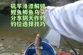 东莞广州野钓，矶竿滑漂，解锁鲤鱼鲫鱼乌头，分享阴天作钓小技巧
