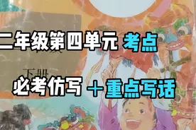 二年级下第四单元课文必考点分析，难点一大堆，尤其仿写和写话视频封面