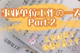事业单位工作实录2 工作清闲？待遇丰厚？？视频封面