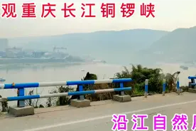 重庆主城弹子石坐车经长江边铜锣峡到广阳峡口镇，观淳朴沿江风光视频封面