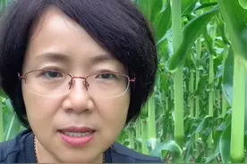 户口合并，农村户口抓紧办三件事。视频封面