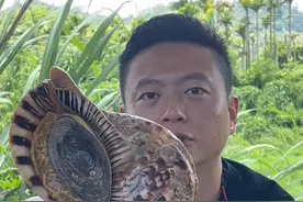 国家二级保护动物凤尾螺视频封面