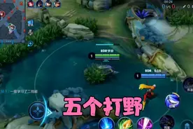 李元芳遇到五打野整局游戏疯狂针对，把李元芳吓了泉水不敢出！视频封面