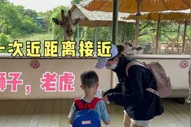 小珠跟布莱恩到达曼谷：全球拥有最多长颈鹿动物园超过200只视频封面