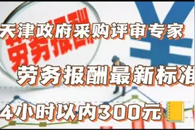 天津市政府采购评审专家劳务报酬标准（4小时以内300元）视频封面